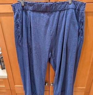Iridium Capri Pants, 1X